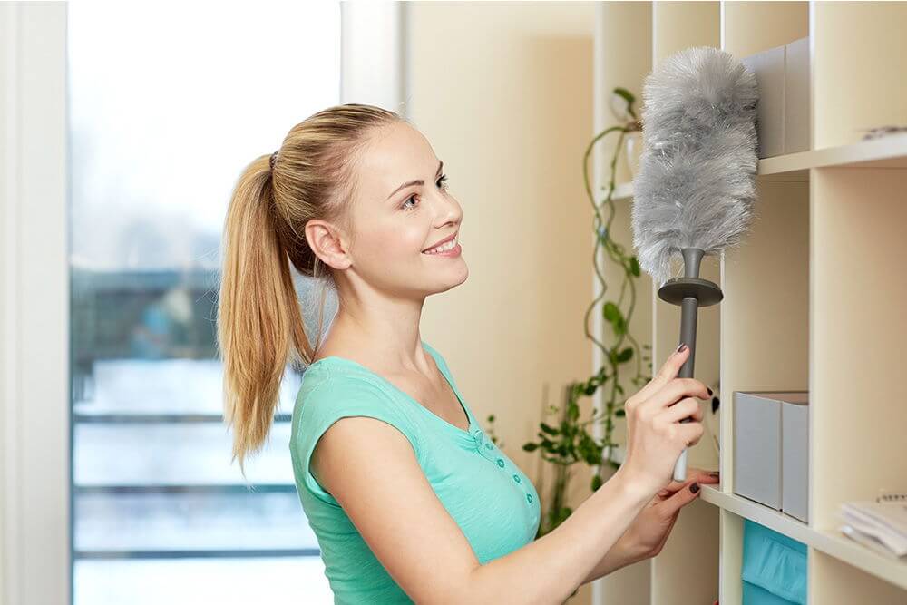 Upholstery Cleaning Stockwell SW8